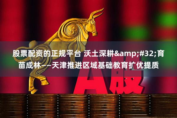 股票配资的正规平台 沃土深耕&#32;育苗成林——天津推进区域基础教育扩优提质