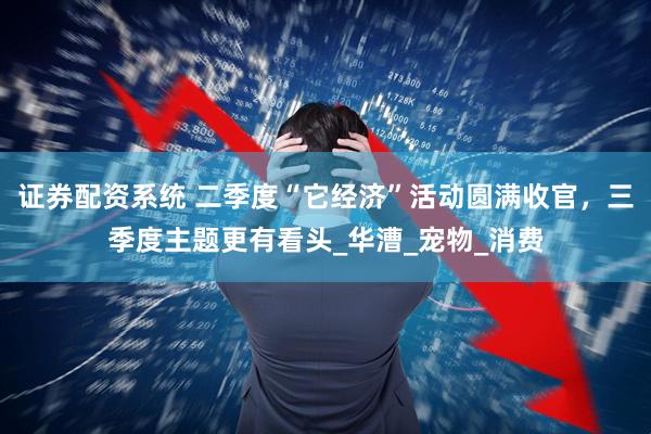 证券配资系统 二季度“它经济”活动圆满收官，三季度主题更有看头_华漕_宠物_消费